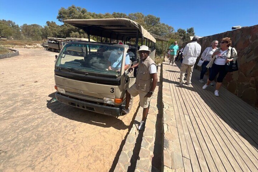 Aquila Game Reserve Safari with wine tasting, Transport & Lunch