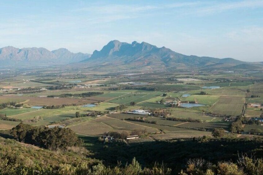 Aquila Game Reserve Safari with wine tasting, Transport & Lunch