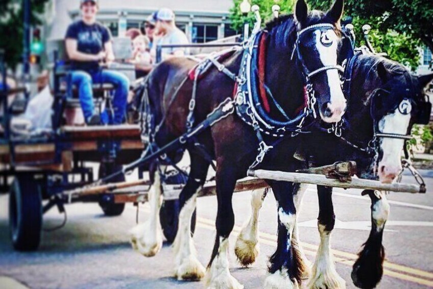  Shared Golden's History Wagon Ride Tour in Colorado