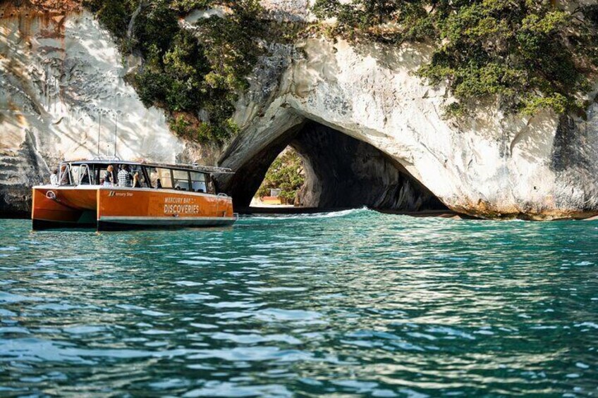 Cathedral Cove