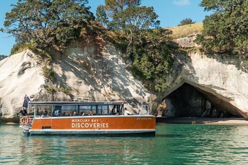 Cathedral Cove Coast and Cave Activity