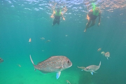 Cathedral Cove Coast and Cave Activity