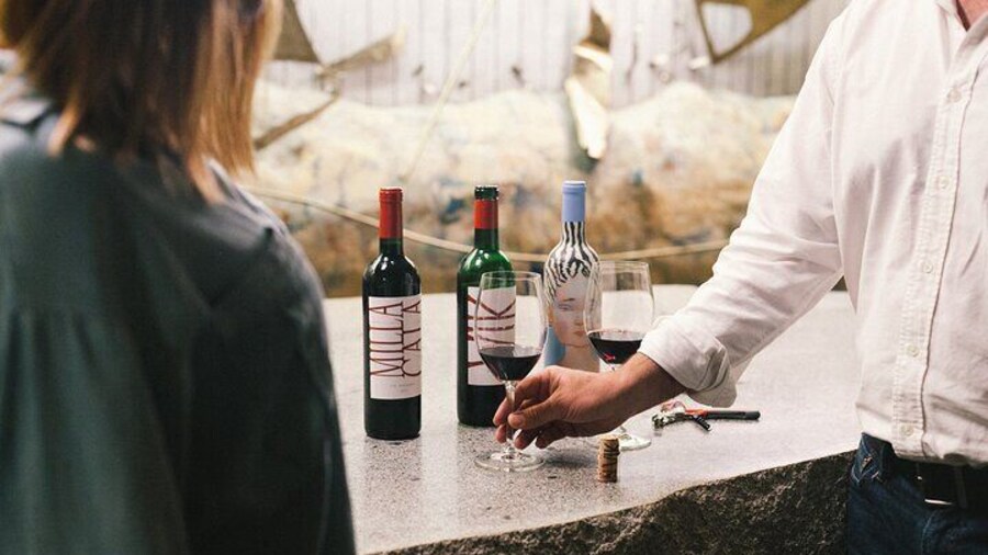 Private Colchagua VIK and Montes Wineries Experience