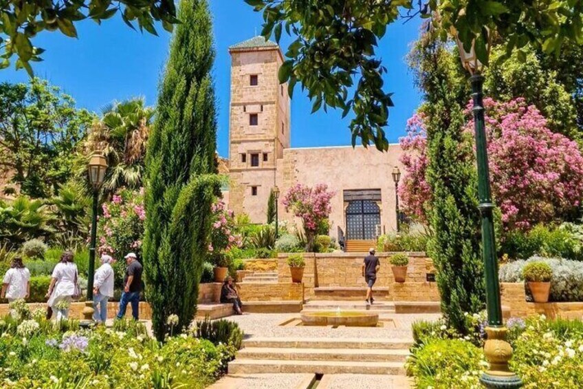 Andalusian Garden 