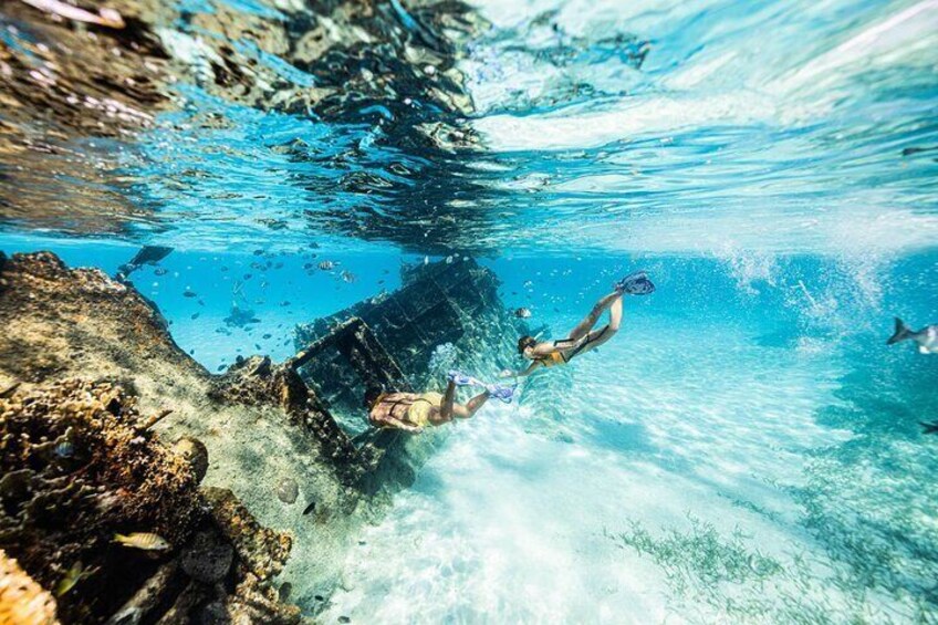 Snorkel Paradise Cancun 6 in 1 with Turtles and transfer