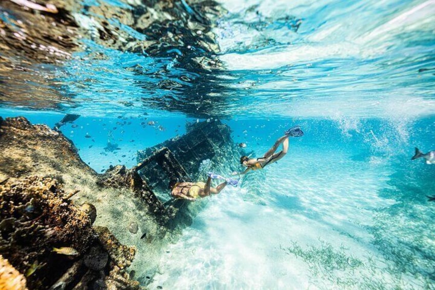 Snorkel Paradise Cancun 6 in 1 with Turtles and transfer