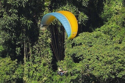 PARAGLIDING over Guacaica Jungle Private experience from Guatape