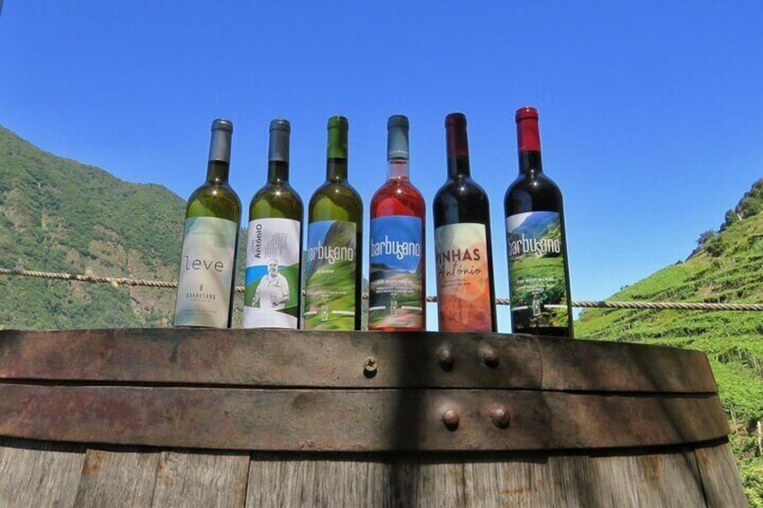 Wine & Cabo Girão Jeep Safari : Unveiling Madeira's Treasures