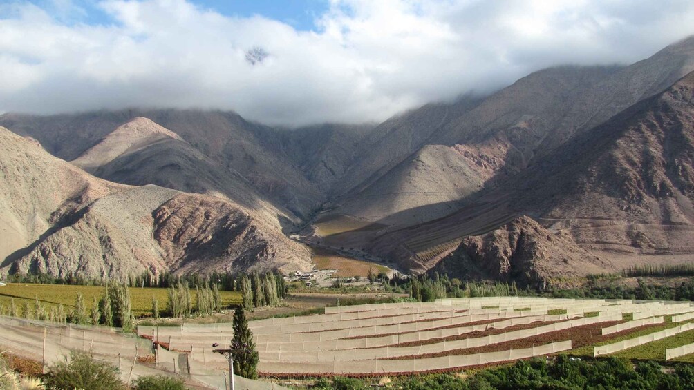 Picture 3 for Activity Elqui Valley Tour from La Serena