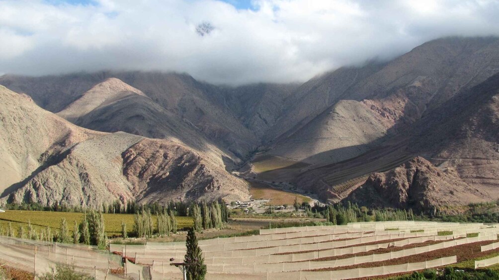 Picture 3 for Activity Elqui Valley Tour from La Serena