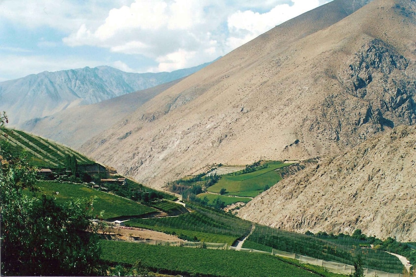 Picture 2 for Activity Elqui Valley Tour from La Serena