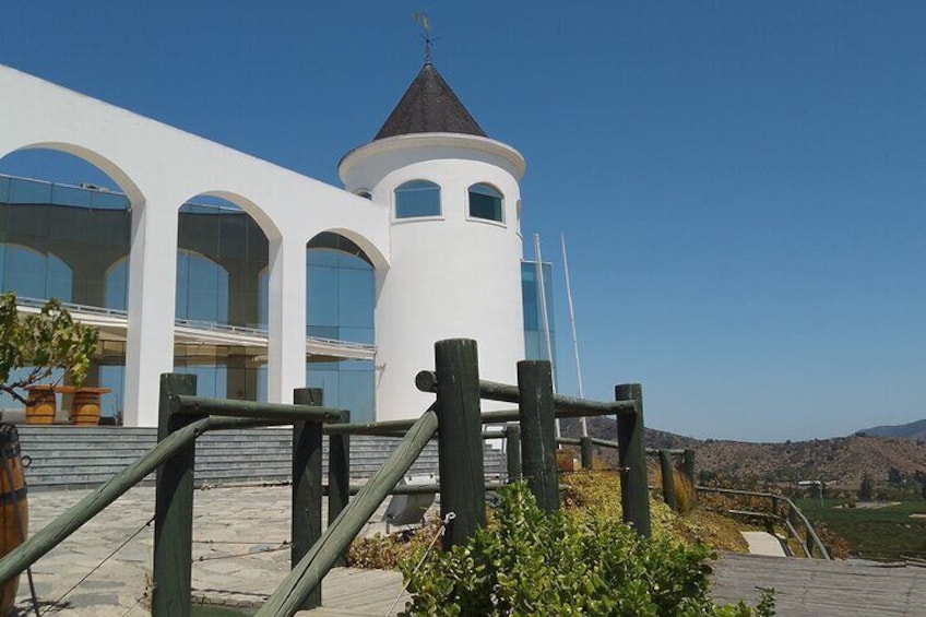 Wineries Tour in Casablanca Valley from Valparaiso