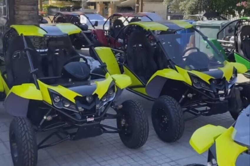 Sport buggy by Renli 500 cc automatic transmission