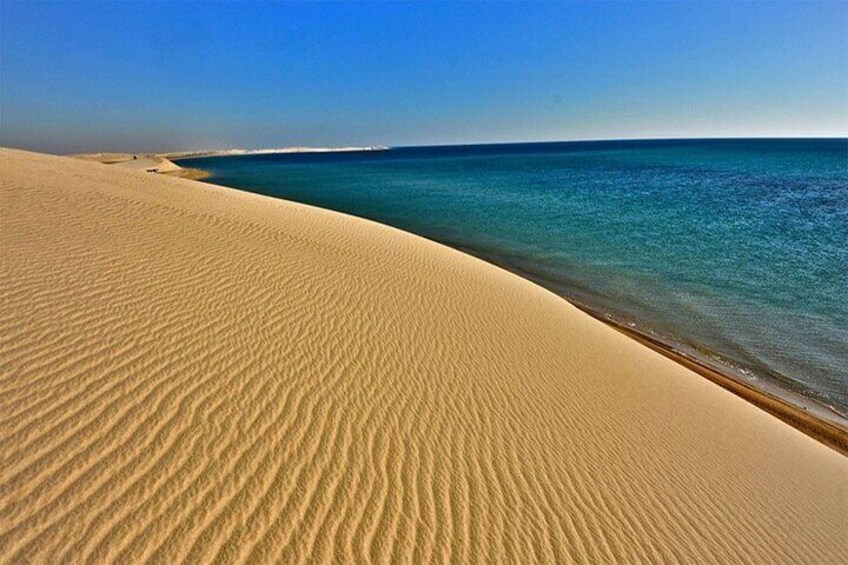 Qatar Dune Buggy Private Experience