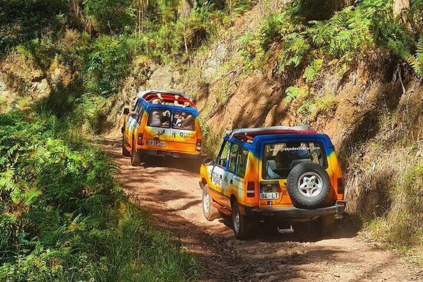 Guided Tour Beyond Vineyards Cabo Girão Skywalk and 4x4 Adventure