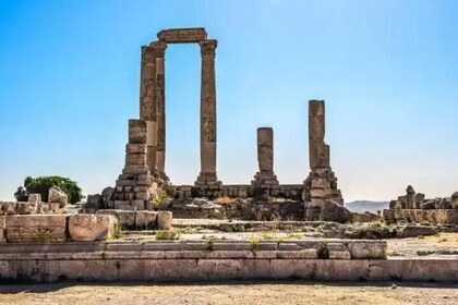 Herculaneum Tour with Skip the line ticket & Audioguide