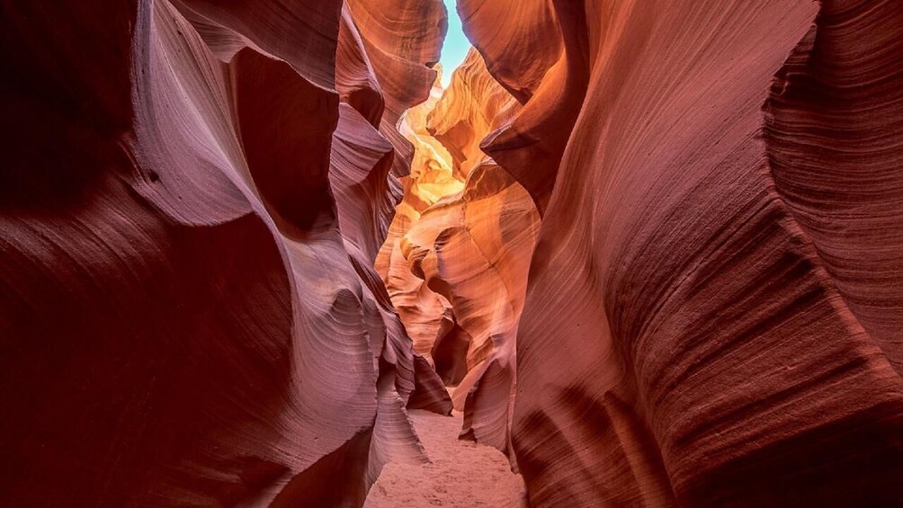 Lower Antelope Canyon & Horseshoe Bend Tour From Vegas with Lunch