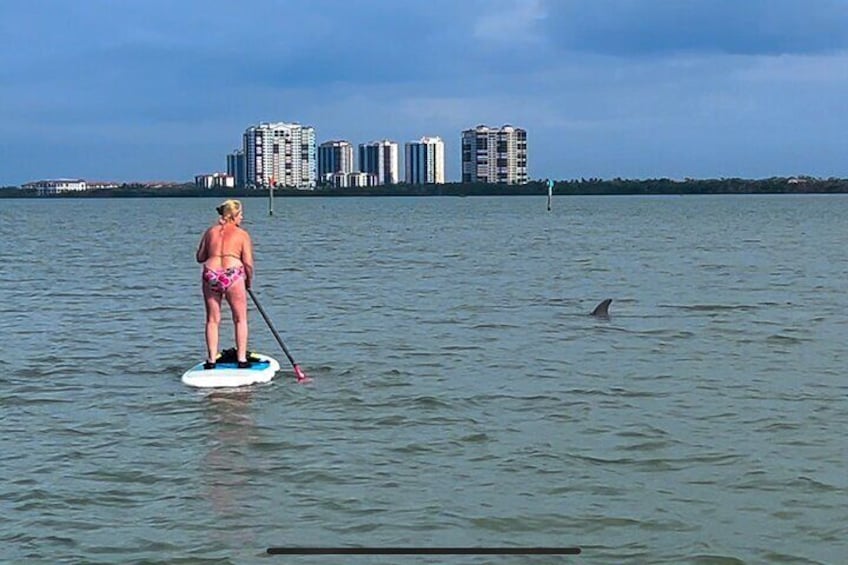 Tahe Paddle Board SUP Rental - Big Hickory, Bonita Springs