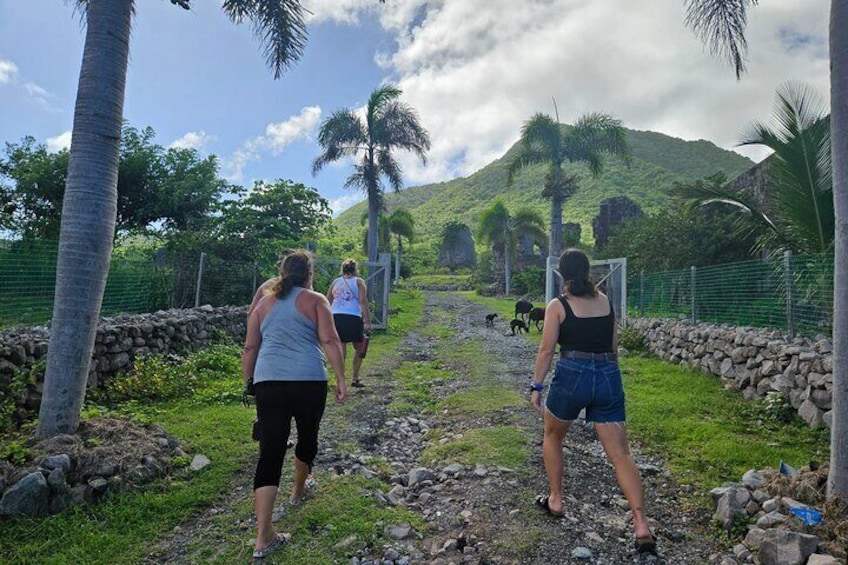 Nevis Island Road Trip