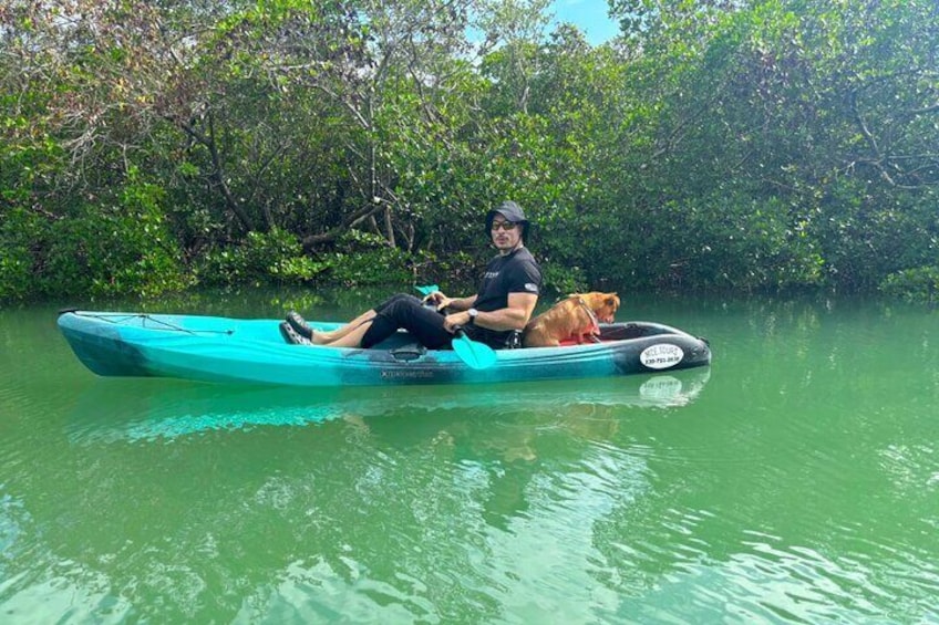 Big Hickory Self Guided Kayaking Activity in Bonita Springs