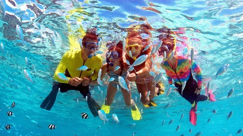 Fish Eye Marine Park  Piti Bay Marine Preserve Eco Snorkeling Tour