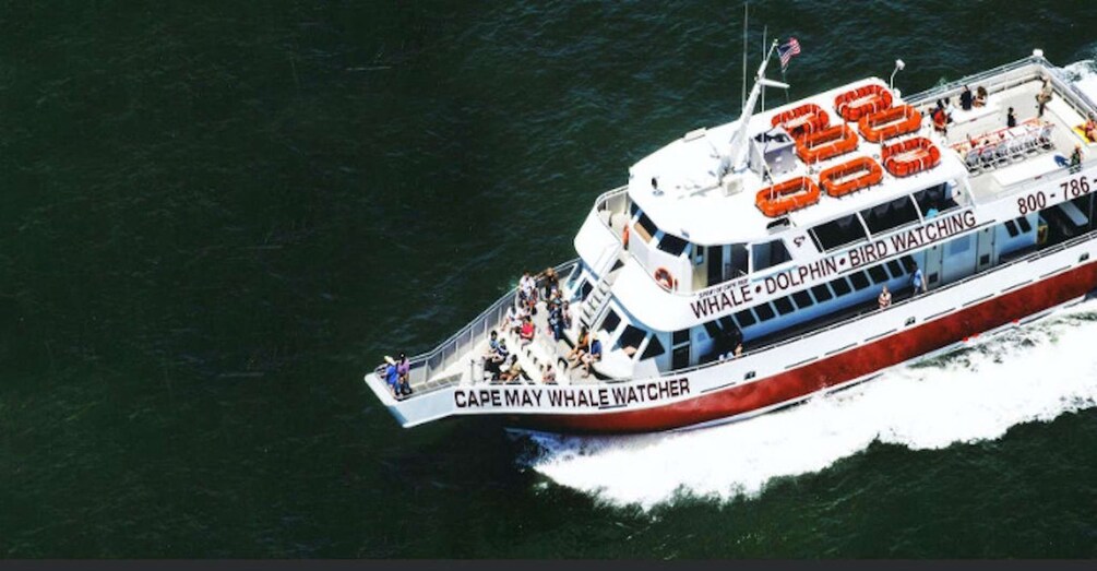 Picture 3 for Activity Cape May: Sunset Dinner Cruise on the Spirit of Cape May