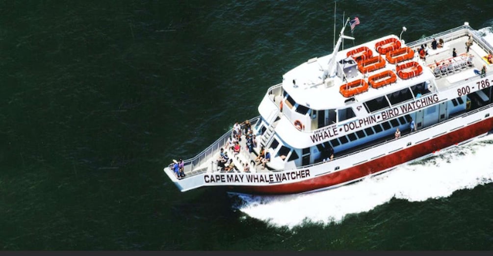Picture 3 for Activity Cape May: Sunset Dinner Cruise on the Spirit of Cape May
