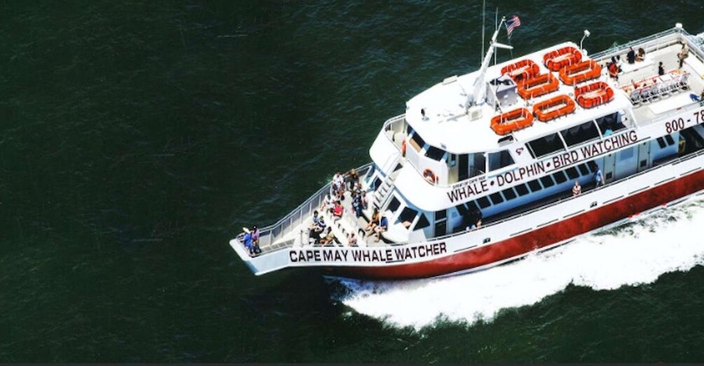 Picture 3 for Activity Cape May: Sunset Dinner Cruise on the Spirit of Cape May