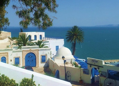 Tunis: Medina, Carthage, & Sidi Bousaid Private Trip