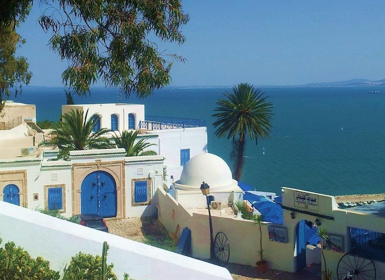 Tunis: Medina, Carthage, & Sidi Bousaid Private Trip