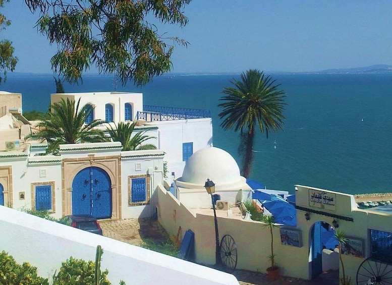 Private Day Tour: Medina of Tunis, Carthage, Sidi Bousaid