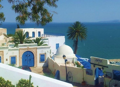 Privater Tag Medina von Tunis Karthago Sidi Bousaid mit Mittagessen
