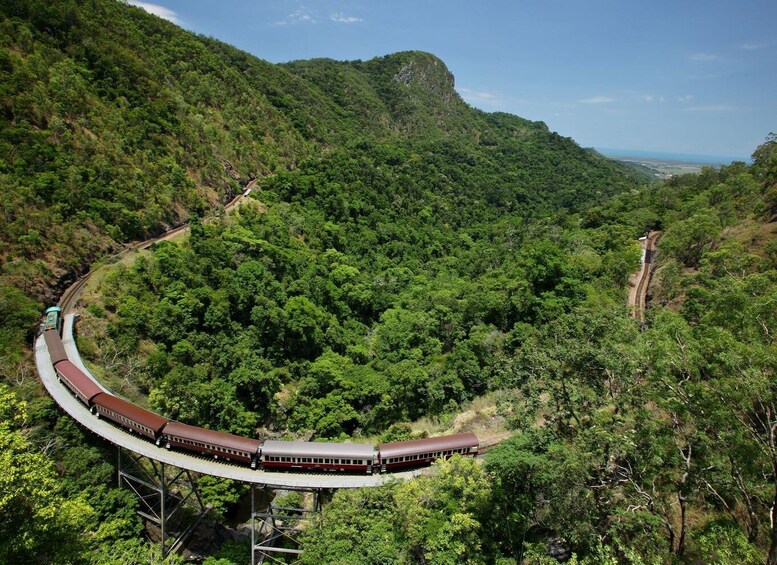 Picture 8 for Activity Cairns: Small Group Tour - Kuranda via bus and Scenic Rail