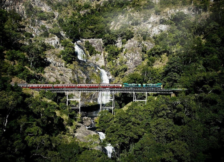 Picture 4 for Activity Cairns: Kuranda by bus and Scenic Rail Small Group Day Tour