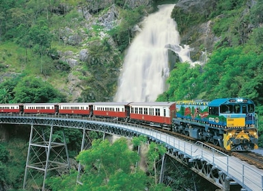 Cairns: Smågruppstur - Kuranda via buss och Scenic Rail