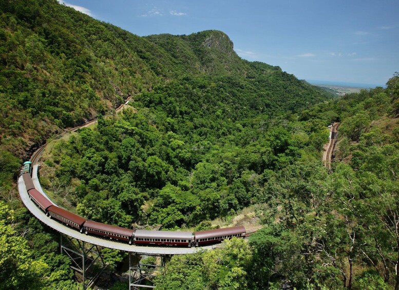 Picture 8 for Activity Cairns: Small Group Tour - Kuranda via bus and Scenic Rail