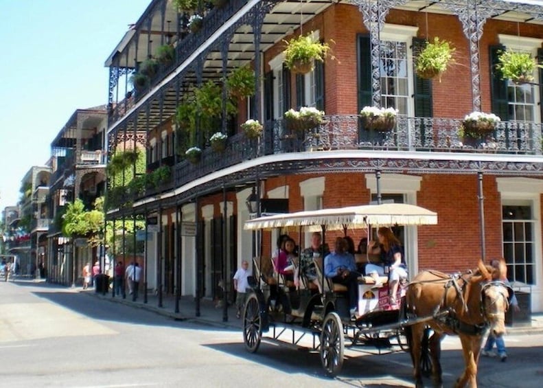 New Orleans: Food Walking Tour & Cooking Class Experience