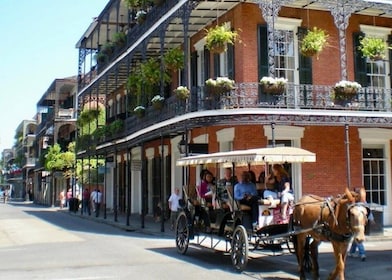 New Orleans: New Orleans: Food Walking Tour & Cooking Class Experience