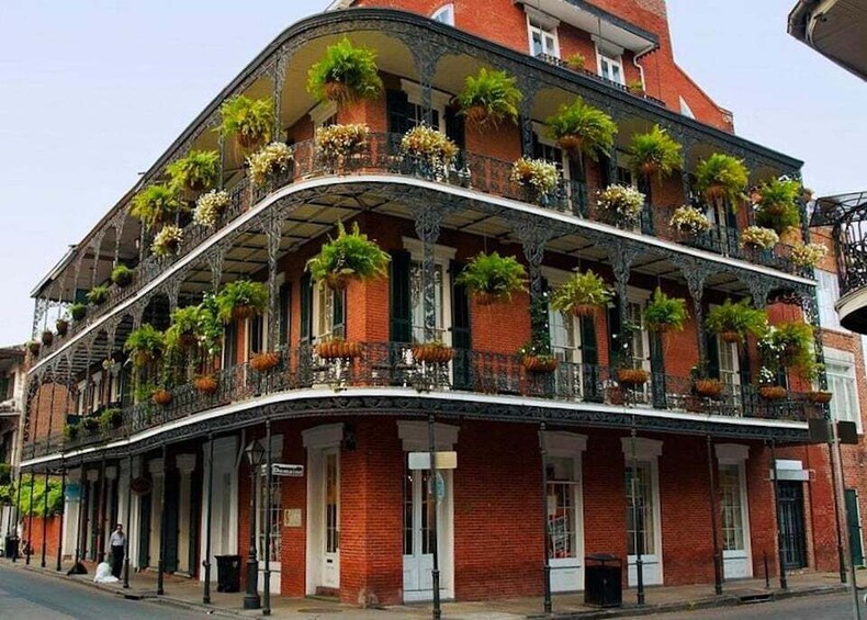 Picture 2 for Activity New Orleans: French Quarter History Tour with Cafe du Monde