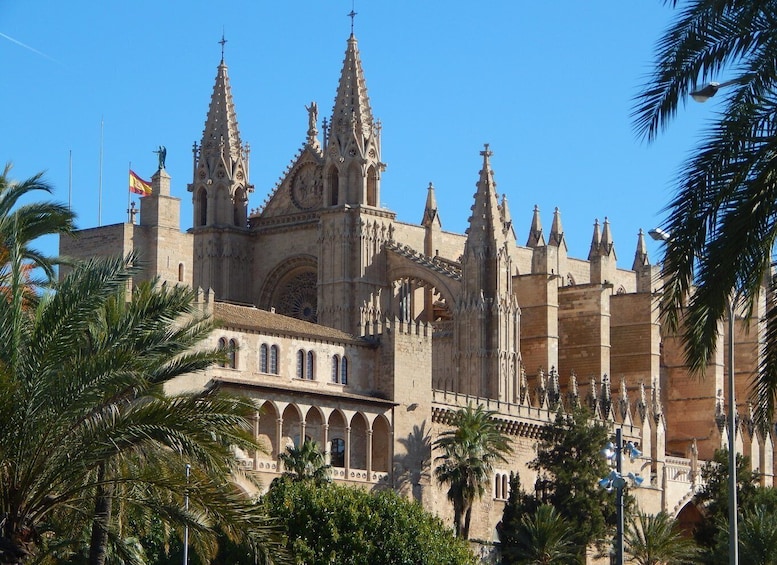 Picture 9 for Activity Tour Palma old town & Cathedral Skip-the-Line entry--English