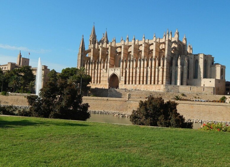 Picture 3 for Activity Tour Palma old town & Cathedral Skip-the-Line entry--English