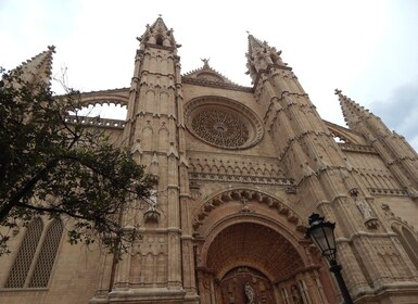 Tour Palma old town & Cathedral Skip-the-Line entry--English