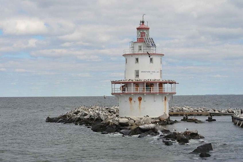 Picture 1 for Activity Cape May: Grand Lighthouse Cruise