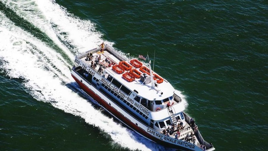 Cape May: Grand Lighthouse Cruise