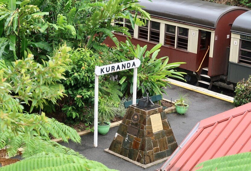 Picture 6 for Activity Cairns: Small Group Kuranda Tour via Skyrail and Scenic Rail