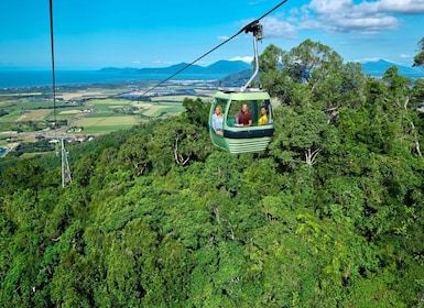 Cairns: Tour di Kuranda in piccolo gruppo con Skyrail e Scenic Rail