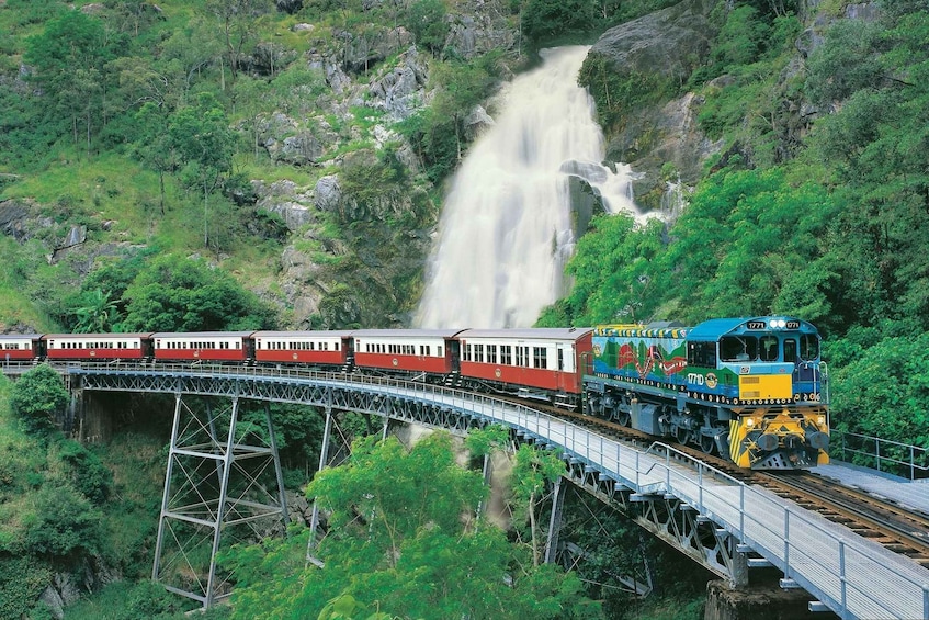 Picture 7 for Activity Cairns: Small Group Kuranda Tour via Skyrail and Scenic Rail