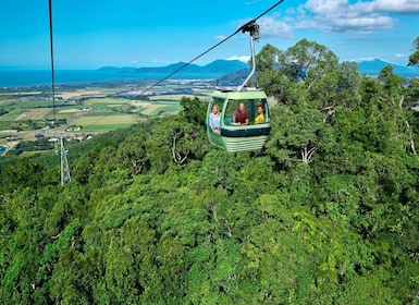 Cairns : Petit groupe Kuranda excursion via Skyrail et Scenic Rail