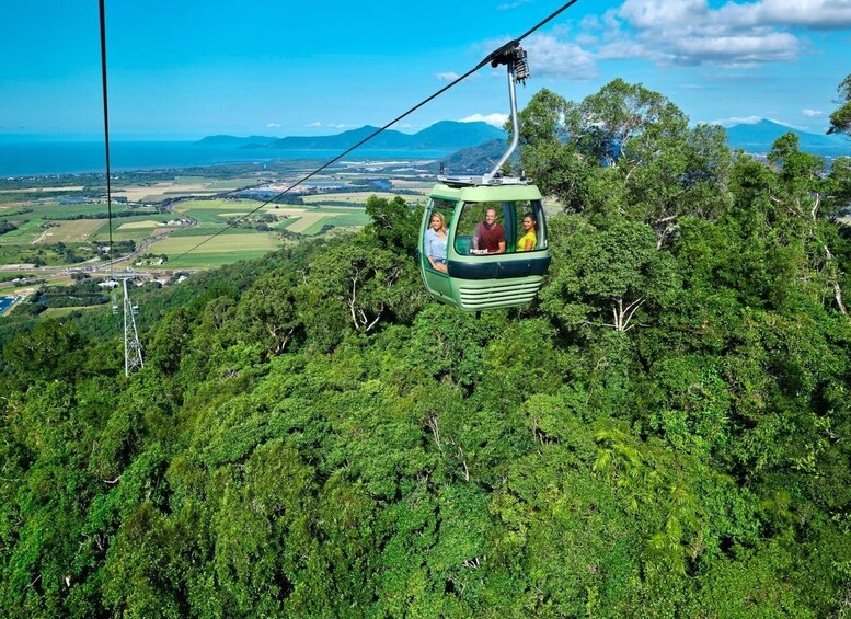 Cairns: Small Group Kuranda Tour via Skyrail and Scenic Rail