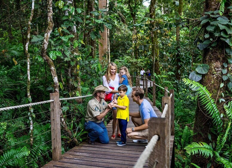 Picture 2 for Activity Cairns: Small Group Kuranda Tour via Skyrail and Scenic Rail